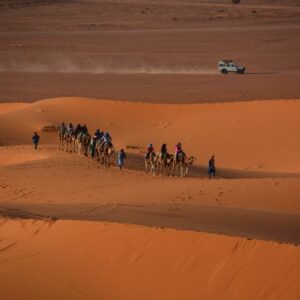 desert tour – 5 days from tangier to marrakech with hampstead tours