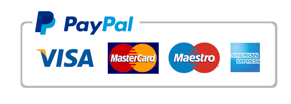 pay pal icon